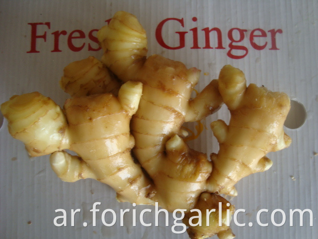 Fresh Ginger